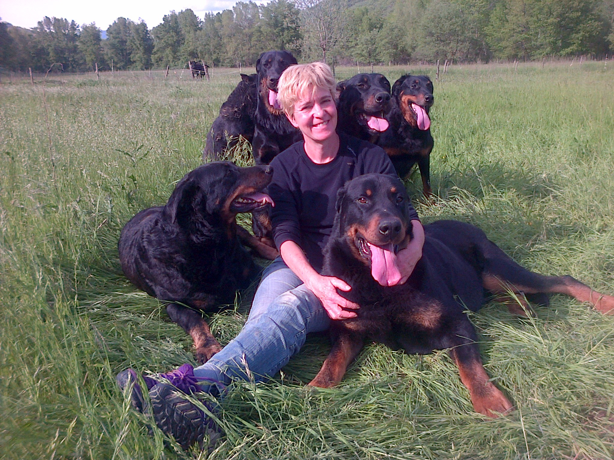 domainedelalicorne.fr Elevage de beauceron chiot beauceron pure race élevage du clos de la licorne elevage des gardiens de la licorne elevage beauceron noir et feu authentique gros gabarits élevage de Beauceron familial sérieux et qualité domainedelalicorne.fr suivi des chiots conseil d’éducation chiot propre bas rouge santé caractère spécialiste du beauceron noir et feu ou arlequin chien rustique berger de France  nos chiots sont élevés avec amour et attention notre passion au service de la qualité Beauceron de qualité et sportif domaine de la licorne 04380 BARRAS élevage en liberté éleveur berger de beauce élevage de beauceron de travail 